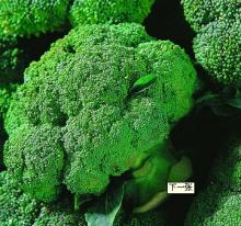 AD broccoli powder