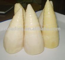 2012   new   crop  canned whole bamboo shoot