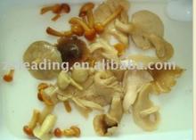  Canned   Mixed   Mushroom s Marinated