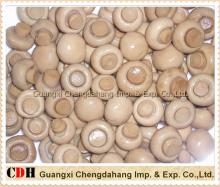 Canned Mushroom Whole (CDH)