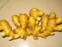 2012 Fresh mature yellow fat ginger