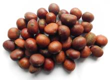 frozen roasted Chestnut