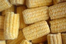 Frozen Sweet Corn Cuts/Cobs