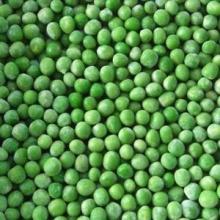 frozen green pea pod