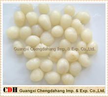 Canned Longan (CDH)