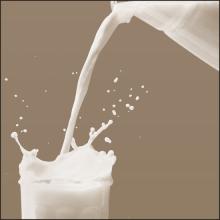 Non-dairy Creamer for Infant Formula