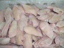 Frozen Halal  Chicken  Grade A
