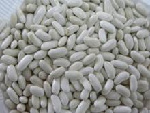 WHITE KIDNEY BEANS