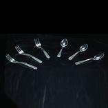 PS  Fork  and  Spoon 
