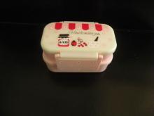 Two Layered Lunch Box