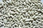 white and red kidney beans