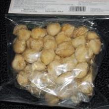 Best Quality Kemiri nut for sale