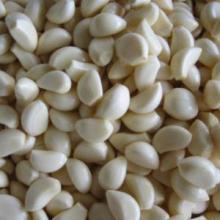 frozen garlic clove
