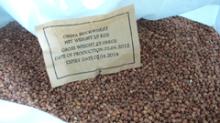 Crop  2012  Chinese  Buckwheat  Munufacturer Supplier