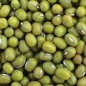 mung beans