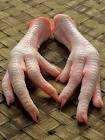chicken feet