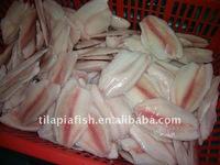  Tilapia   Fillet   Frozen  Fish