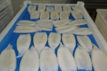 Cleaned Frozen Squid Tubes(todarodes pacificus) tip on