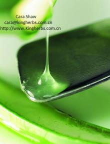 Aloe Vera gel Extract