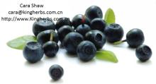  Acai   Berry   Extract 