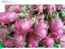 Dragon fruit (Binh Thuan Dragon Fruit)