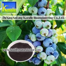 blueberry extract