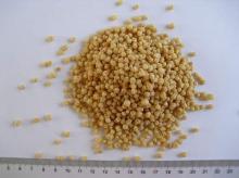  Textured   protein 