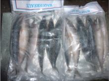 No spots pacific mackerel