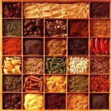 Indian Spices for Sale in Quantity
