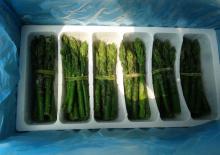 11s IQF green asparagus