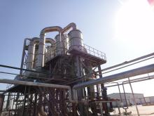  tomato   paste   cold  break 36-38% 2011corp
