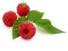 Raspberry Powder, Extract, Concentrate, Fruit Powder, Juice Powder, Freeze Dried
