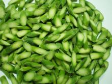 quality green asparagus supplier