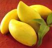 Fresh Mango