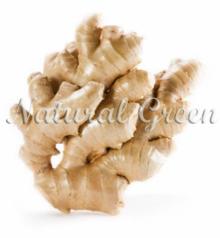 Organic Fresh Yellow Ginger