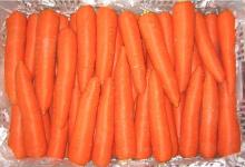 Chinese Fresh Carrot
