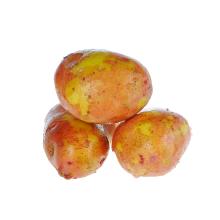 fresh Potato