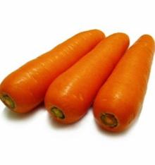 fresh Carrot