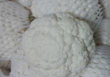 Fresh Cauliflower