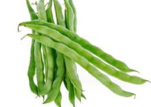 fresh  string  bean