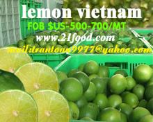 lemon