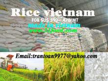 Rice vietnam