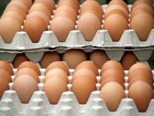 Brown Chicken Eggs