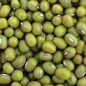 Green Mung bean ,White kidney bean