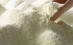 camel milk powder supply and baby powder milk