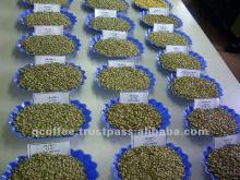  Arabica   Green   Coffee  Bean _ Grade 1, Screen 16