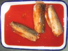 canned mackerels in tomato sauce