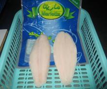 Pangasius welltrimmed, untrimmed, semitrimmed with high glazing and very competitive price