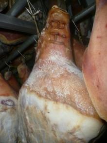 Frozen Pork Feet