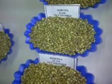  Robusta   Green   Coffee  Bean, Grade 1, Screen 16